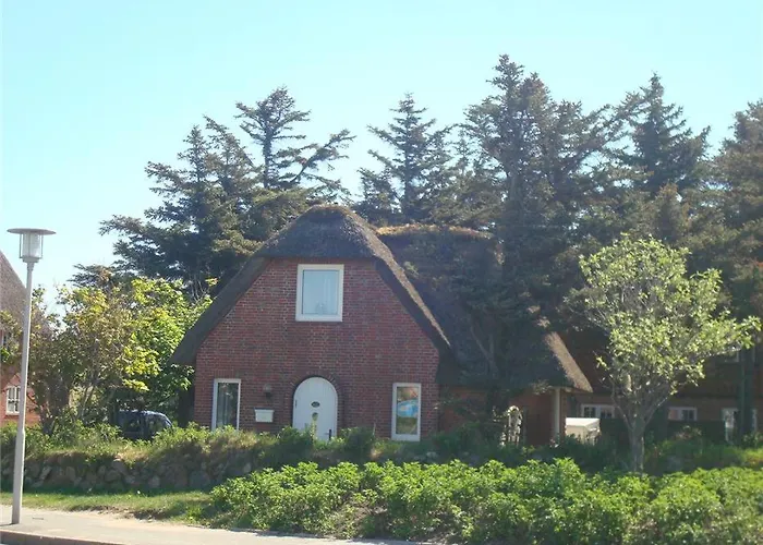 Haus-Moewennest