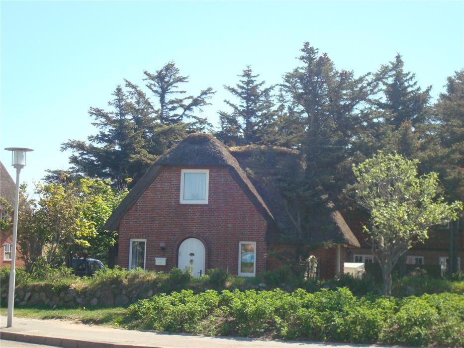 Haus-moewennest